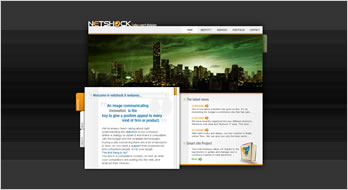 netshock